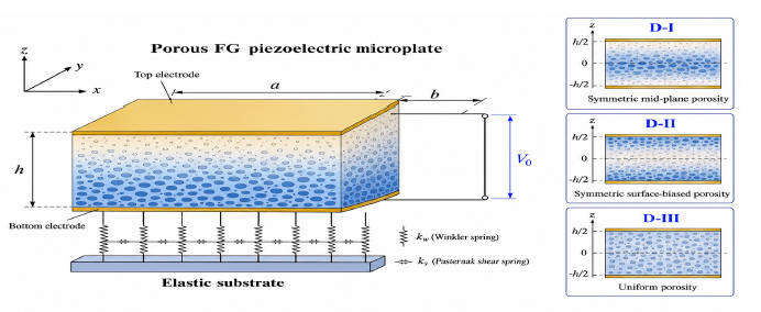 Figure 1: Schematic of the porous functionally graded piezoelectric microplate with different porosity distribution patterns.